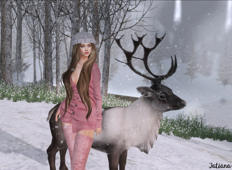Reindeer Friend.png
